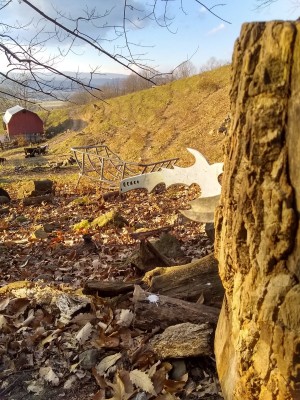 IMG_20221125_153956025_HDR.jpg