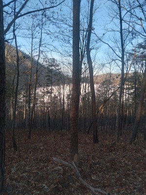 20221126_080922.jpg