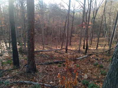 20221126_083731.jpg