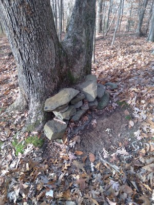 20221126_093838.jpg