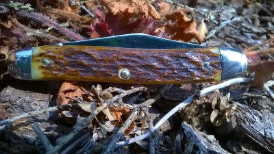 WP_20170807_029.jpg