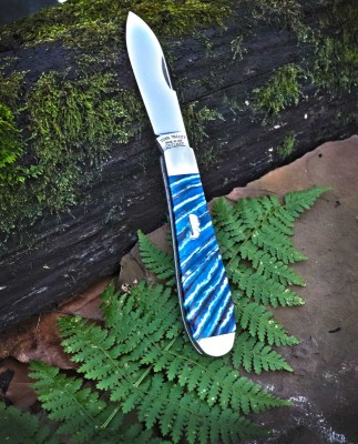 2022-tuna-jack-blue-mammoth-01lo.jpg