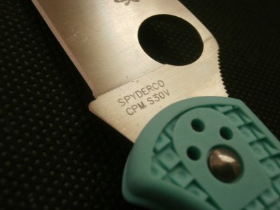 PB270009.JPG