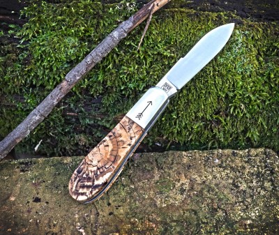 2022-tuna-norman-crosscut-01lo.jpg