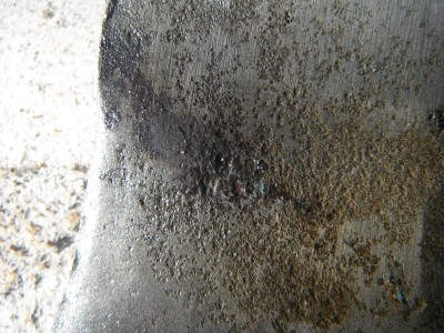 DSCF9596.JPG