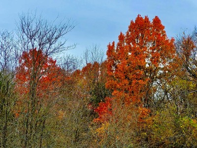 00C40CAD-43A3-4BA2-BC63-EFDD49AEFDFA.jpeg
