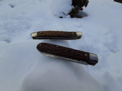 thumbnail_20221201_093528.jpg