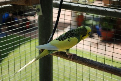 DSC_3275.JPG