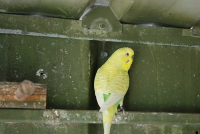 DSC_3277.JPG