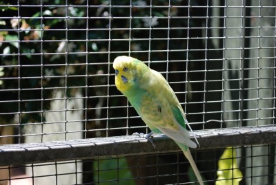 DSC_3278.JPG