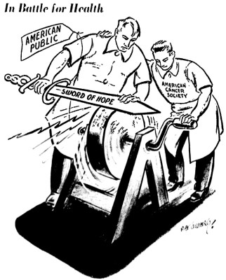 image.jpeg