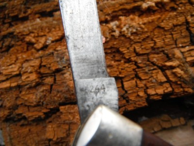 DSCF9694.JPG