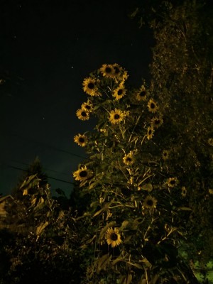 20220826_210357.jpg