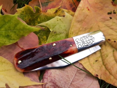 thumbnail_20211027_135146.jpg