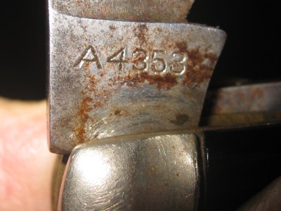 More-3.JPG