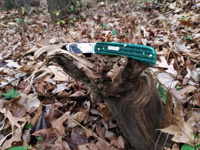 Jade Bone Soddie Jr on the trail.jpg