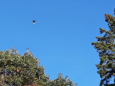 thumbnail_20221216_142349.jpg