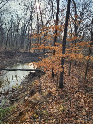 20221221_095219.jpg