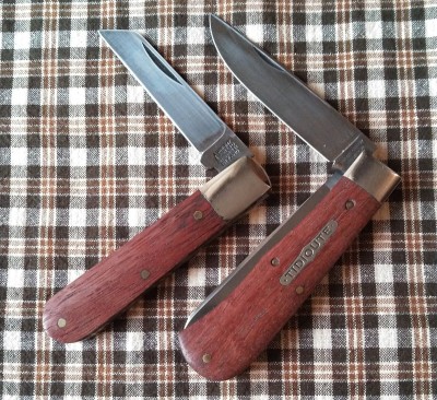 KIMG5542~2.JPG