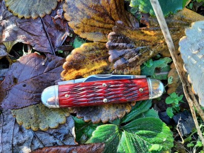 thumbnail_20221214_102458.jpg