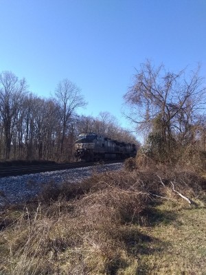 IMG_20221227_110453076.jpg