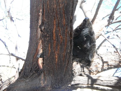 DSCF0119.JPG
