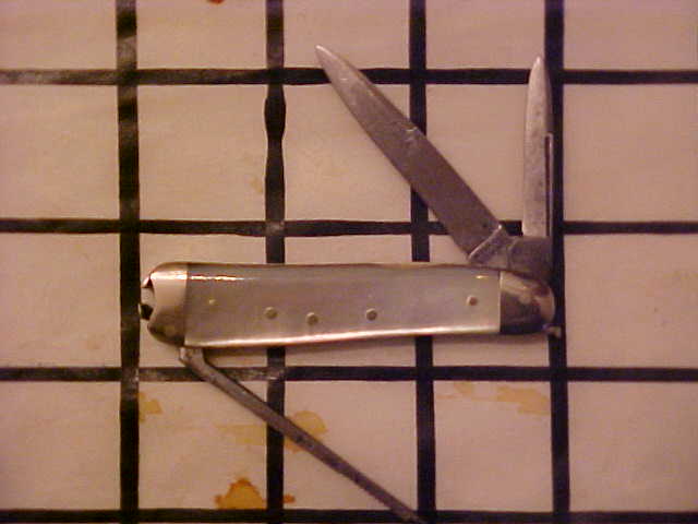 WandGVogel11.JPG