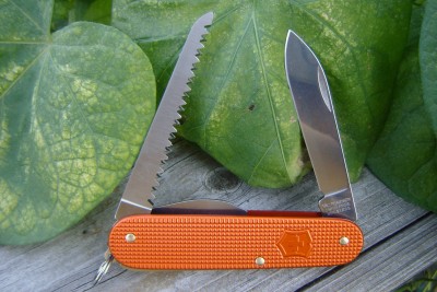 SAK +B Lumberjack.JPG