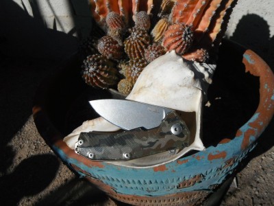 DSCF0140.JPG