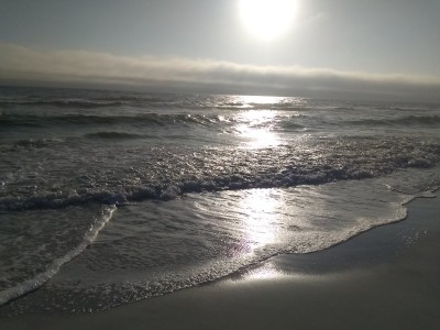 IMG_20230102_153551138.jpg