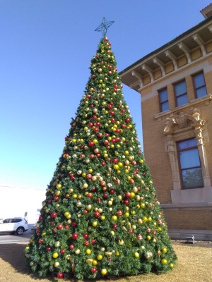 IMG_20230103_110124708.jpg