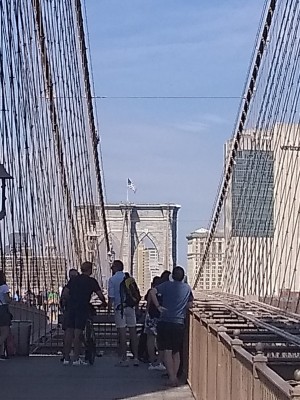 IMG_20220919_115547483.jpg