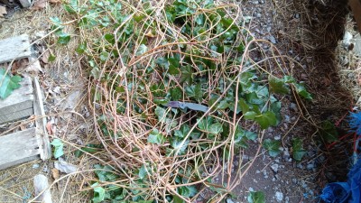IMG_20230106_115557.jpg