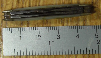 CIMG1805a.JPG