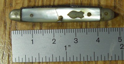 CIMG1806a.JPG