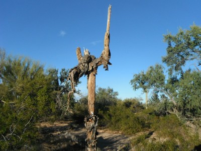 DSCF0412.JPG