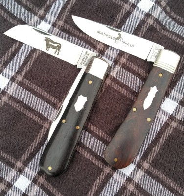 KIMG6062~3.JPG