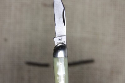 IMG_4989.JPG
