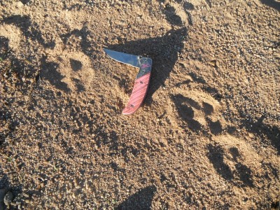 DSCF0417.JPG