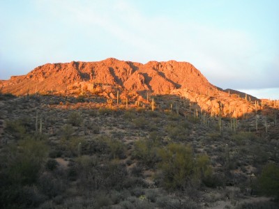 DSCF0594.JPG