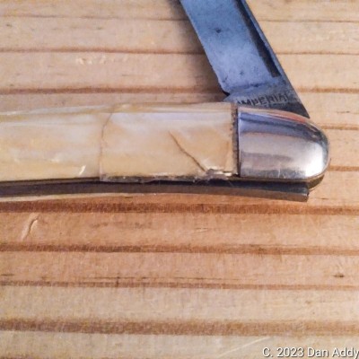 Broken Shell Knife Cover.jpg