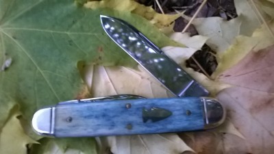 WP_20181113_103.jpg