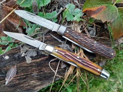 thumbnail_20230121_084338.jpg