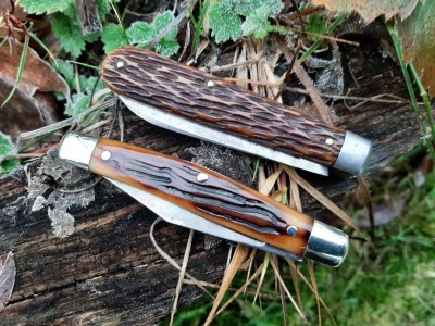 thumbnail_20230121_084415.jpg