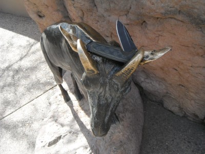 DSCF0515.JPG