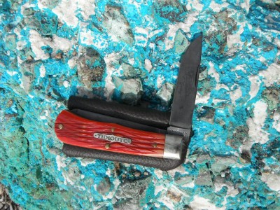 DSCF0574.JPG