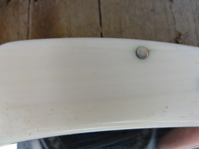 DSC00442.JPG