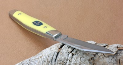 Yellowcloseup.jpg