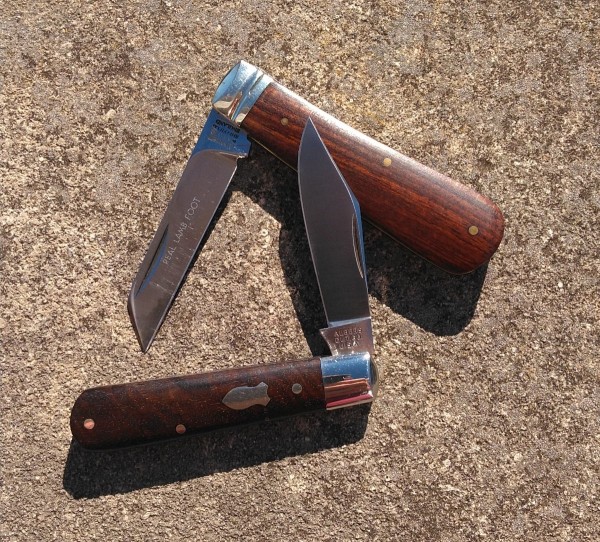 KIMG6802~2.JPG