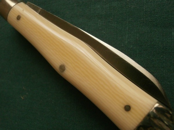 Cattaraugus SCJ Ivory Grain.JPG